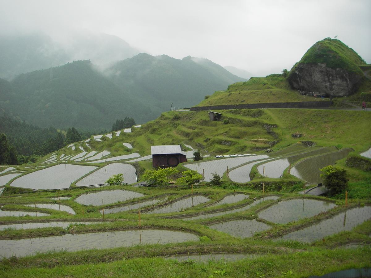 Kumano Backpackers Hostel Tanabe Bagian luar foto