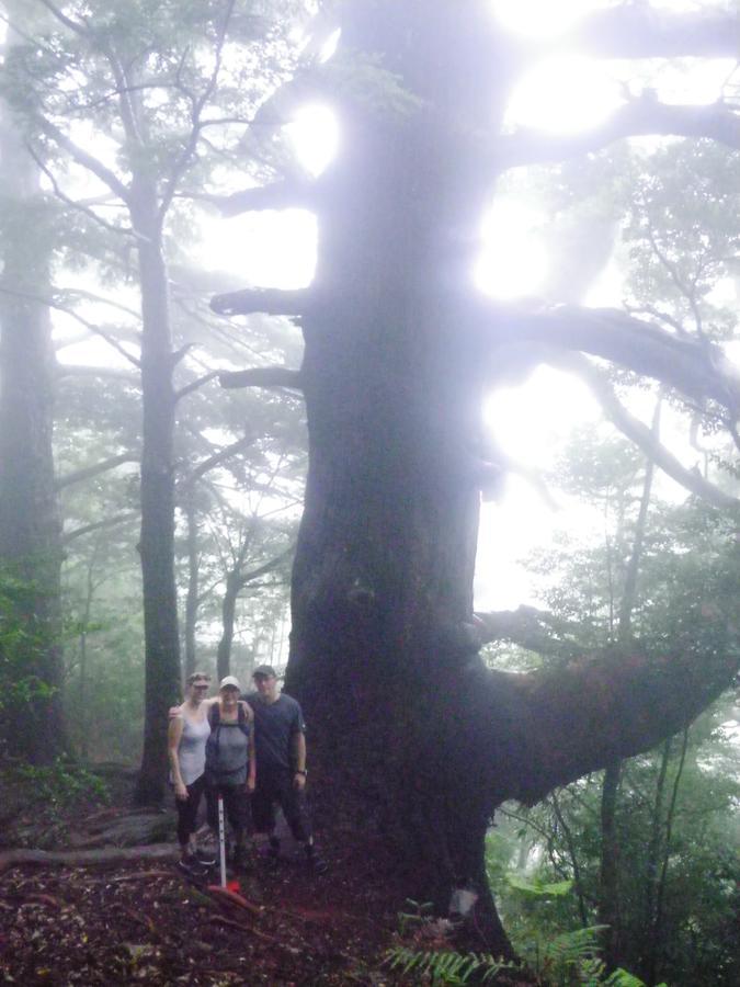 Kumano Backpackers Hostel Tanabe Bagian luar foto